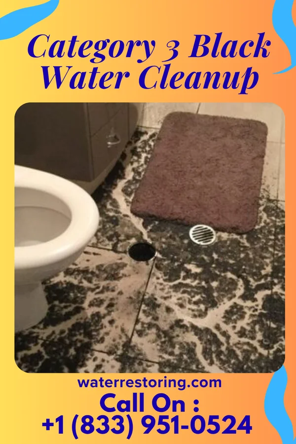 Category 3 Black Water Cleanup in Smithton, IL
