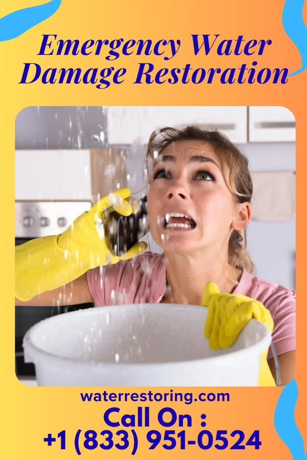 Emergency Water Damage Restoration in Smithton, IL
