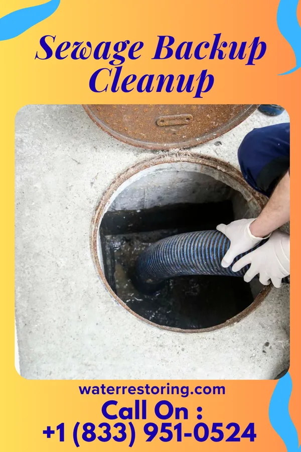 Sewage Backup Cleanup in Smithton, IL